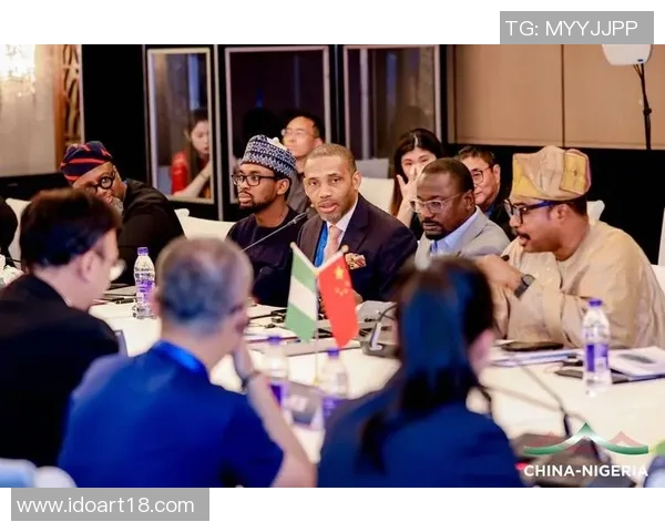 尼日利亚与中国的经济合作与文化交流新篇章探讨