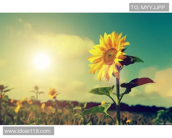 李添荣的奋斗故事:从平凡到卓越的成长之路与人生启示