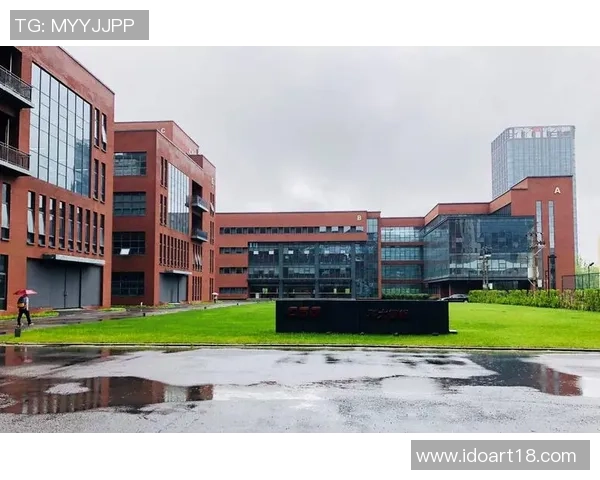 杭州极限运动队反击战术深度解析与实战应用探讨MBA