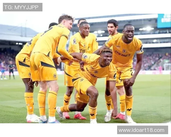 2018年桑德兰对阵狼队精彩回顾与赛季分析